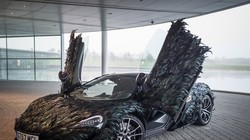 Để hoàn thành việc phủ lông vũ lên thân, những người thợ của McLaren đã phải làm việc thủ công trong hơn 300 giờ, lâu hơn cả thời gian sản xuất xe.