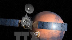 Ảnh minh họa. (Nguồn: AFP/TTXVN)