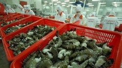 Ảnh minh họa. Nguồn Internet