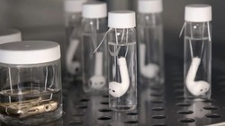 Tai nghe AirPods được Apple ngâm trong lọ đựng mồ hôi nhân tạo.
