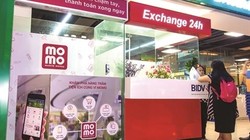 Phần lớn các nhà cung cấp dịch vụ ví điện tử vẫn gặp nhiều khó khăn, nhưng đây là thị trường có nhiều cơ hội trong tương lai.
