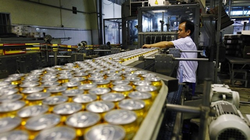 Thoái vốn tại Habeco hiện đang vướng trong thỏa thuận hợp tác với cổ đông lớn Carlsberg

