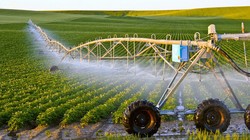 Ảnh minh họa. Nguồn Tri thức trẻ