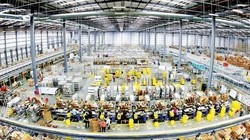 Nguồn ảnh: amazon.co.uk
