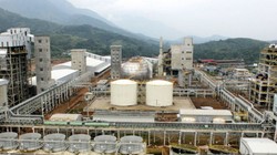 Ảnh minh họa. Nguồn dân trí