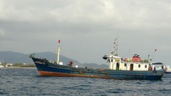 Ảnh minh họa. (Nguồn: TTXVN)