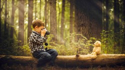 Một trong những bức ảnhPhillip Haumesser chụp cậu con trai mình bằng bộ thiết bị giá 200 USD.