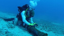 Ảnh minh họa. Nguồn Tri thức trẻ