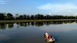 Ảnh "Mưu sinh" được chụp từ Bphone 2017