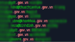 CMC Infosec thực hiện search đơn giản các tổ chức có miền .gov.vn. Ảnh: CMC.