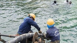 Ảnh minh họa. Nguồn: 24h