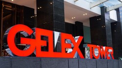 Lợi nhuận Gelex liên tục đi lùi sau khi thâu tóm Viglacera