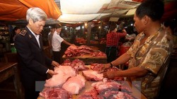 Dùng chất cấm trong chăn nuôi: Phạt 1 tỷ đồng và hơn 20 năm tù 