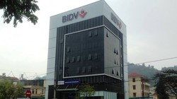 Ngân hàng đang mắc kẹt nghìn tỷ tại Khoáng sản Na Rì Haminco