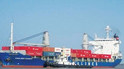 Chỉ tính riêng các công ty con của Vinalines đã âm vốn tới gần 20.000 tỷ đồng, theo Kiểm toán Nhà nước.