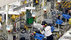 Tính đến 20/8/2016, đầu tư trực tiếp nước ngoài thu hút 1619 dự án cấp phép mới với số vốn đăng ký đạt 9795,6 triệu USD