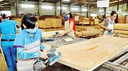 Gỗ Trường Thành đang đứng trước nguy cơ hủy niêm yết