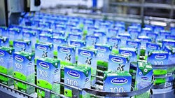 F&N Dairy Investments PTE đang nắm giữ 14.29% VĐL tại VNM