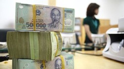 Ngân hàng Nhà nước cho biết, mặc dù lỗ kinh doanh của các ngân hàng mua bắt buộc giảm dần nhưng do hoạt động của các ngân hàng vẫn trong tình trạng cầm chừng, nguồn thu tạo ra không đủ bù chi phí hoạt động kinh doanh nên lỗ lũy kế tiếp tục gia tăng.