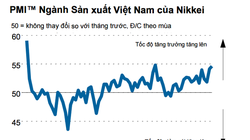Nguồn: Báo cáo của Nikkei