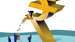 MEF luôn duy trì tỷ lệ cổ tức từ 30-50%