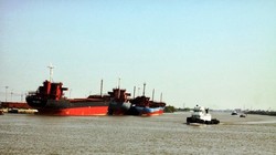 Ảnh minh họa. Nguồn: Internet