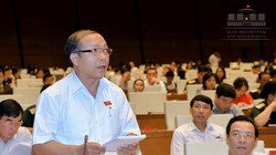 Đại biểu Đinh Duy Vượt, đoàn đại biểu Gia Lai - Ảnh: Cổng TTĐT Quốc hội