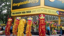 Ảnh minh họa - Nguồn MWG