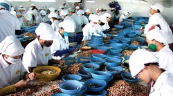 Ảnh minh họa - Nguồn: Internet