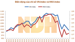 Biến động của VN-Index và HNX-Index