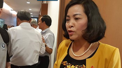 Bà Nguyễn Thị Thanh, Bí thư Tỉnh ủy tỉnh Ninh Bình