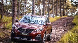 Ra mắt thị trường vào cuối năm 2017, bộ đôi SUV Peugeot 5008, 3008 AllNew đã góp phần đưa doanh số của Peugeot Việt Nam tăng trưởng đột phá đến cột mốc gần 3.000 xe trong 9 tháng đầu năm 2018.