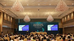 Dự kiến trong năm 2020, SCB sẽ tăng 5.000 tỷ đồng vốn điều lệ, nâng mức vốn điều lệ sau khi tăng thêm là 20.232 tỷ đồng