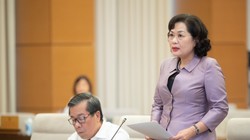 Đề xuất Ngân hàng Nhà nước có quyền điều tra vi phạm pháp luật về ngân hàng