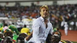 HLV H. Renard tuyên bố Saudi Arabia đến Hà Nội để lấy trọn 3 điểm. Ảnh AFC.