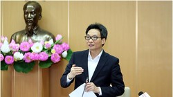 Phó Thủ tướng Vũ Đức Đam phát biểu tại Hội nghị giao ban trực tuyến