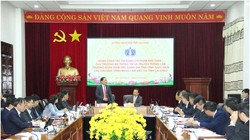 Thứ trưởng Phạm Anh Tuấn phát biểu tại buổi làm việc. Ảnh Mic