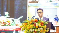 Phó Thủ tướng Vũ Đức Đam phát biểu tại Hội nghị. Ảnh Mic