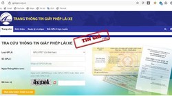 ảnh minh họa. nguồn internet