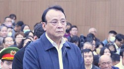 Bị cáo Đỗ Anh Dũng, Chủ tịch Tập đoàn Tân Hoàng Minh.