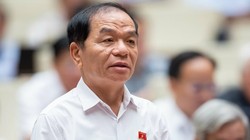 ĐB QH, Ủy viên thường trực Ủy ban Tài chính, Ngân sách của QH Lê Thanh Vân