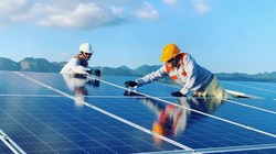 Đầu tư tỷ USD vào điện mặt trời, lợi nhuận Xuân Thiện Group liên tục sụt giảm