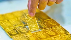 TS. Lê Xuân Nghĩa: Đang có cơn sốt vàng giả tạo