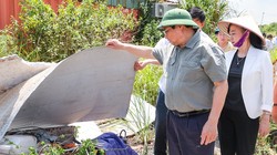 Hai bệnh viện nghìn tỷ bỏ hoang đến bao giờ?