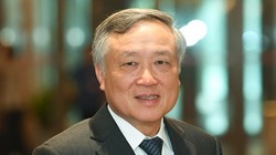 Ông Nguyễn Hòa Bình, Hồ Đức Phớc, Bùi Thanh Sơn được bầu làm Phó thủ tướng