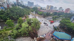 Bão Yagi tàn phá khủng khiếp, nhiều người thương vong