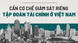 Cần cơ chế giám sát riêng tập đoàn tài chính ở Việt Nam