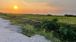 Sau khởi công rầm rộ, dự án tỷ đô Trump International Hưng Yên giờ ra sao?