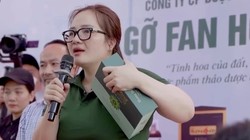 Những vi phạm của Hoàng Hường trước khi bị khởi tố 