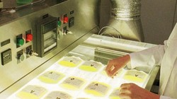 Thí nghiệm mới nhất về bệnh Alzheimer's (Ảnh: Business Insider)